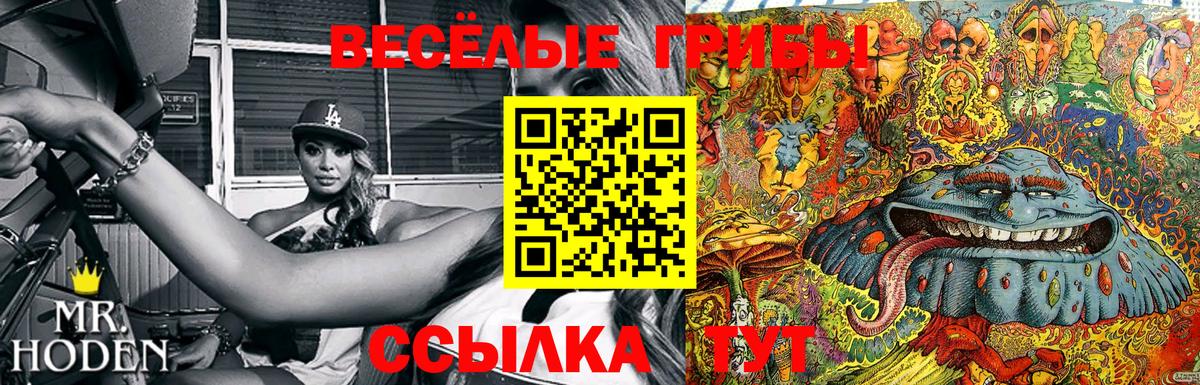 Псилоцибиновые грибы GOLDEN TEACHER  Псилоцибиновые грибы MAGIC MUSHROOMS  Вход с VPN  Брянск 