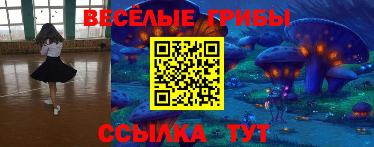 Галлюциногенные грибы MAGIC MUSHROOMS Брянск